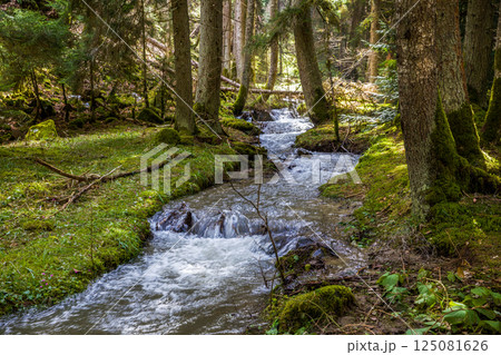 Forest river stream flow of water in the mountains of Scotland. Beautiful landscape Forest river stream flow of water in the mountains of Scotland. Beautiful landscape 125081626
