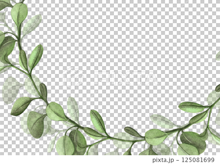 Green branches horizontal banner, frame. Botanical hand drawn watercolor illustration with white background. Perfect as web banner, greeting card and invitation template, Easter or wedding decoration. 125081699