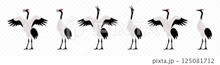 Crane, cranebird, avian, bird and animal, graphic design. Wildlife and nature, migration, ornithology, vector design and illustration Crane, cranebird, avian, bird and animal, graphic design. Wildlife and nature, migration, ornithology, vector design and illustration 125081712