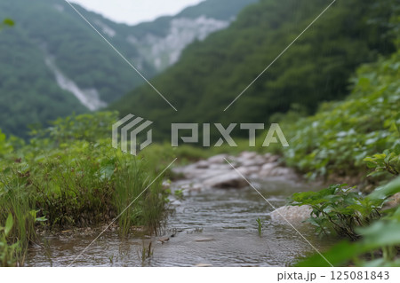 Mountain river flowing through the green forest. close up, blurred background, 125081843