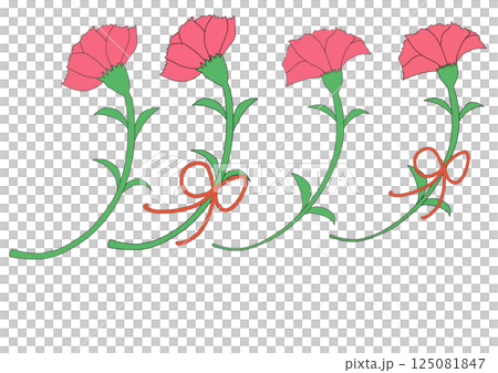 紅色康乃馨和絲帶的插圖（母親節，手繪風格） 125081847