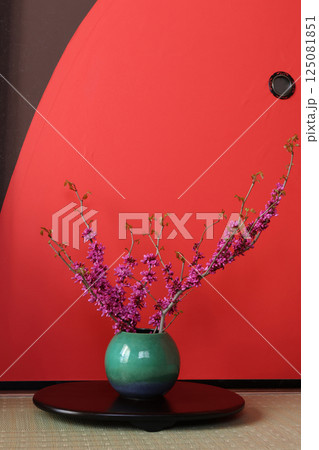 花瓶にいけた花蘇芳 125081851