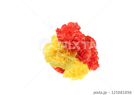 白背景のカーネーションの花束 白背景のカーネーションの花束 125081856