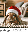 funny rabbit sitting on the couch funny rabbit sitting on the couch 125081870