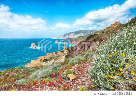 Attractive spring view of ancient ruins of Laveria Lamarmora (Miniera di Nebida). 125082035