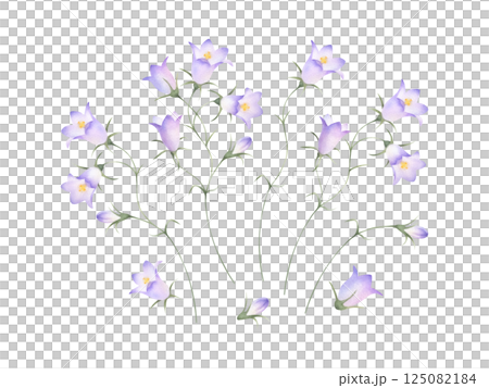 Bellflowers wildflowers with lilac purple flowers and buds. Hand drawn floral watercolor isolated illustration set of field plant. Drawing of meadow flower for fabric print, packaging and postcard 125082184