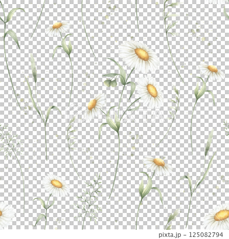 Seamless floral pattern of watercolor wildflowers chamomile and field grasses isolated from background. Hand drawn sketch meadow yellow flowers and wild greenery for fabric print, textile and cards Seamless floral pattern of watercolor wildflowers chamomile and field grasses isolated from background. Hand drawn sketch meadow yellow flowers and wild greenery for fabric print, textile and cards 125082794