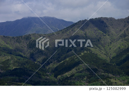 丹沢の鉄砲木ノ頭山頂より望む新緑の道志山塊 石割山 丹沢の鉄砲木ノ頭山頂より望む新緑の道志山塊 石割山 125082999