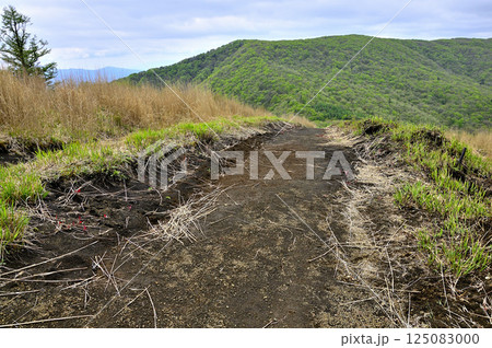 丹沢の鉄砲木ノ頭山頂より望む新緑の三国山稜　三国山 125083000