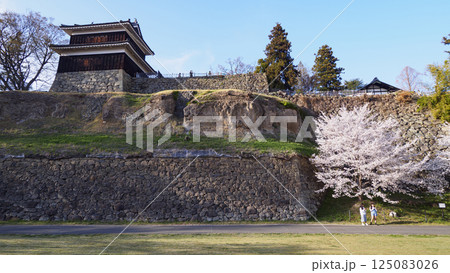 春の信州上田城公園 125083026