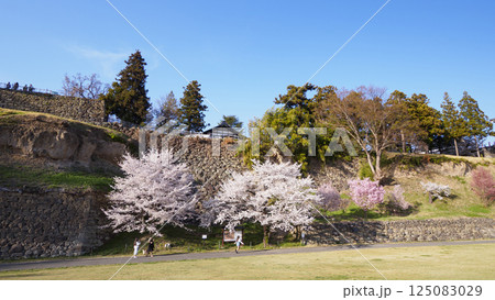 春の信州上田城公園 春の信州上田城公園 125083029