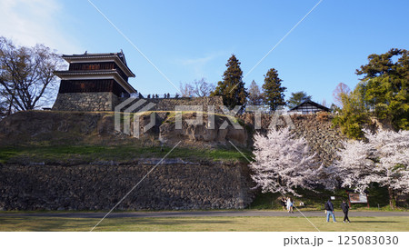 春の信州上田城公園 125083030