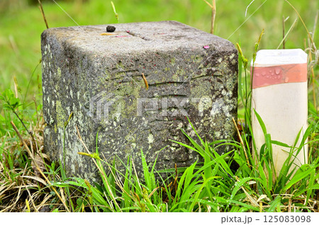 丹沢の甲相国境尾根 高指山山頂の三角点 丹沢の甲相国境尾根 高指山山頂の三角点 125083098