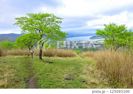 丹沢の甲相国境尾根　山中湖を望む高指山山頂 125083100