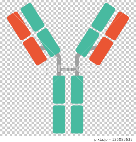 Immunoglobulin D (IgD) illustration (single item) green color 125083635