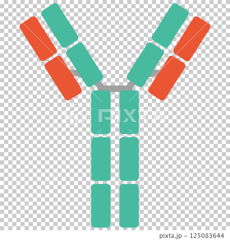 免疫球蛋白E（IgE）插圖（單品）綠色 125083644