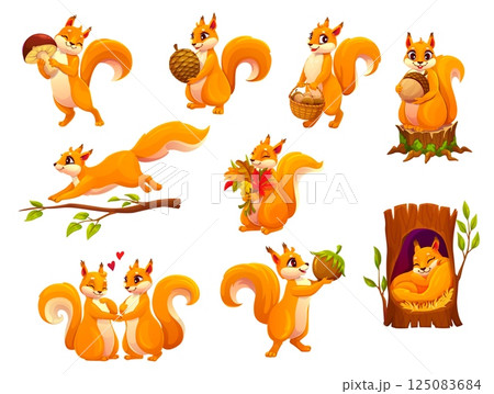 Cartoon squirrel animal characters set. Cute forest animal vector personages with nuts, mushroom, pine cone and acorns in basket. Cartoon red squirrels running on tree branch and sleeping in hollow 125083684