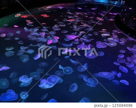 カラフルなクラゲ　水族館 125084096