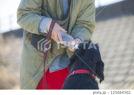 犬を散歩する女性 犬を散歩する女性 125084302