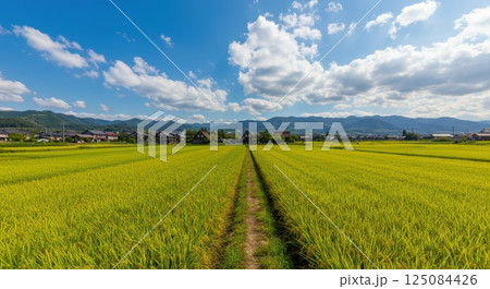 青い空と白い雲が広がる田園風景 125084426