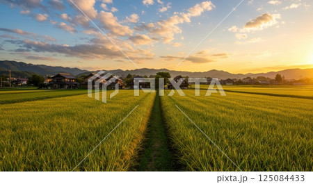夕方の田園風景 125084433