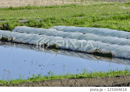 農作業 4月 125084618