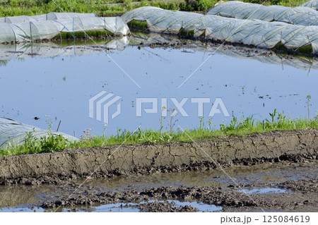 農作業 4月 農作業 4月 125084619