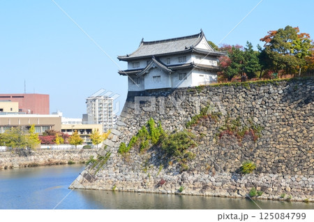 大阪城の「乾櫓」（大阪府大阪市中央区大阪城） 125084799