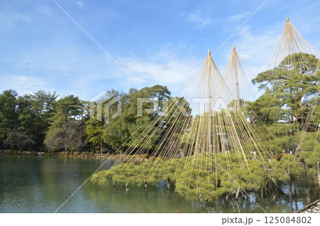 霞ヶ池･雪吊り（兼六園／石川県金沢市兼六町） 125084802