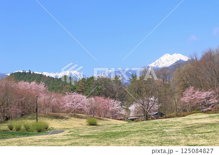 桜咲く春の安曇野 125084827