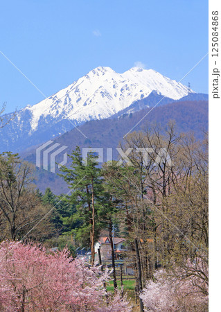 桜咲く春の安曇野 125084868