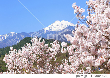 桜咲く春の安曇野 125084870
