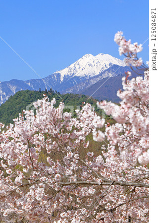 桜咲く春の安曇野 125084871