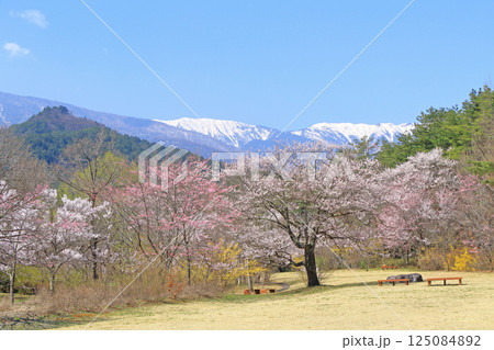 桜咲く春の安曇野 125084892