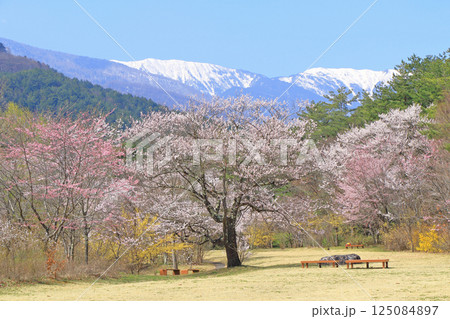 桜咲く春の安曇野 桜咲く春の安曇野 125084897