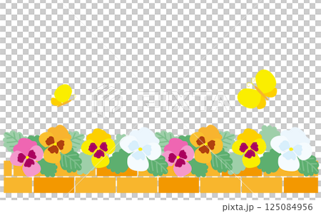 Illustration material of a beautiful flowerbed with pansies Illustration material of a beautiful flowerbed with pansies 125084956