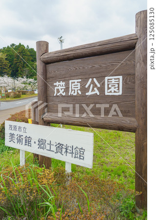 【千葉県茂原市】春の桜と茂原公園 【千葉県茂原市】春の桜と茂原公園 125085130