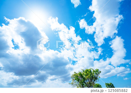 青空と雲と木立 125085882