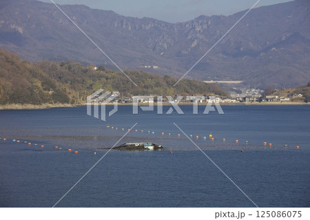 小豆島・坂手港を出港するジャンボフェリー「あおい」からみる海苔の養殖の収穫 125086075
