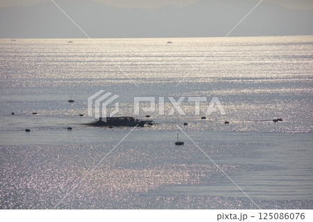 小豆島・坂手港を出港するジャンボフェリー「あおい」からみる海苔の養殖の収穫 125086076