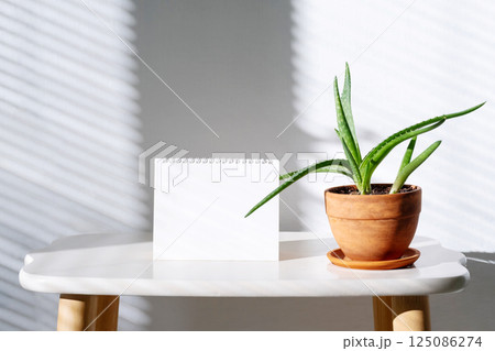 Blank Spiral Notepad for Presentation near Aloe Vera Plant. Minimalist Mock Up for Advertising. 125086274