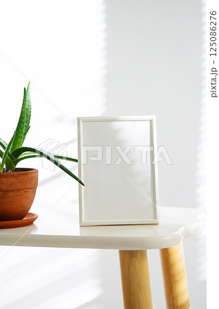 Empty White Frame Mockup on Side Table with Aloe Vera Plant. Modern Interior Decor. 125086276