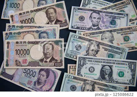 資産形成　日本円(新札)と米ドル 125086622
