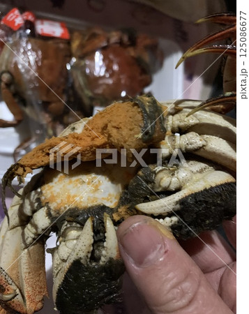 手で持ったカニ 125086677
