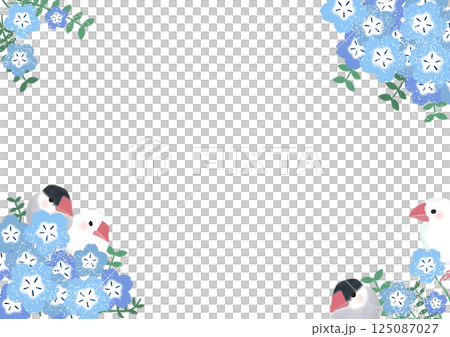 Frame of nemophila of white finch and cherry finch Frame of nemophila of white finch and cherry finch 125087027