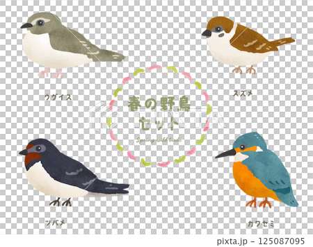 春の野鳥セット spring wild birds 春の野鳥セット spring wild birds 125087095