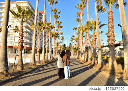 逗子マリーナを囲む椰子の木並木 逗子マリーナを囲む椰子の木並木 125087402