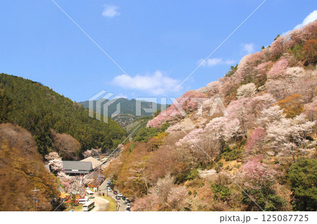 桜の名所吉野山の山上らから望む近鉄吉野駅 125087725