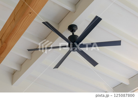 シーリングファン	 シーリングファン	 125087800