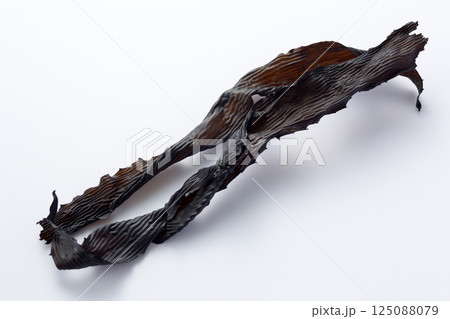 あらめ（海草） 125088079